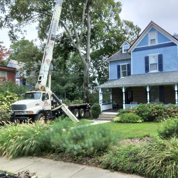 c92215b4-14fe-4807-9727-4de791d46913